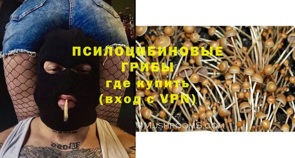 мдпв Балахна
